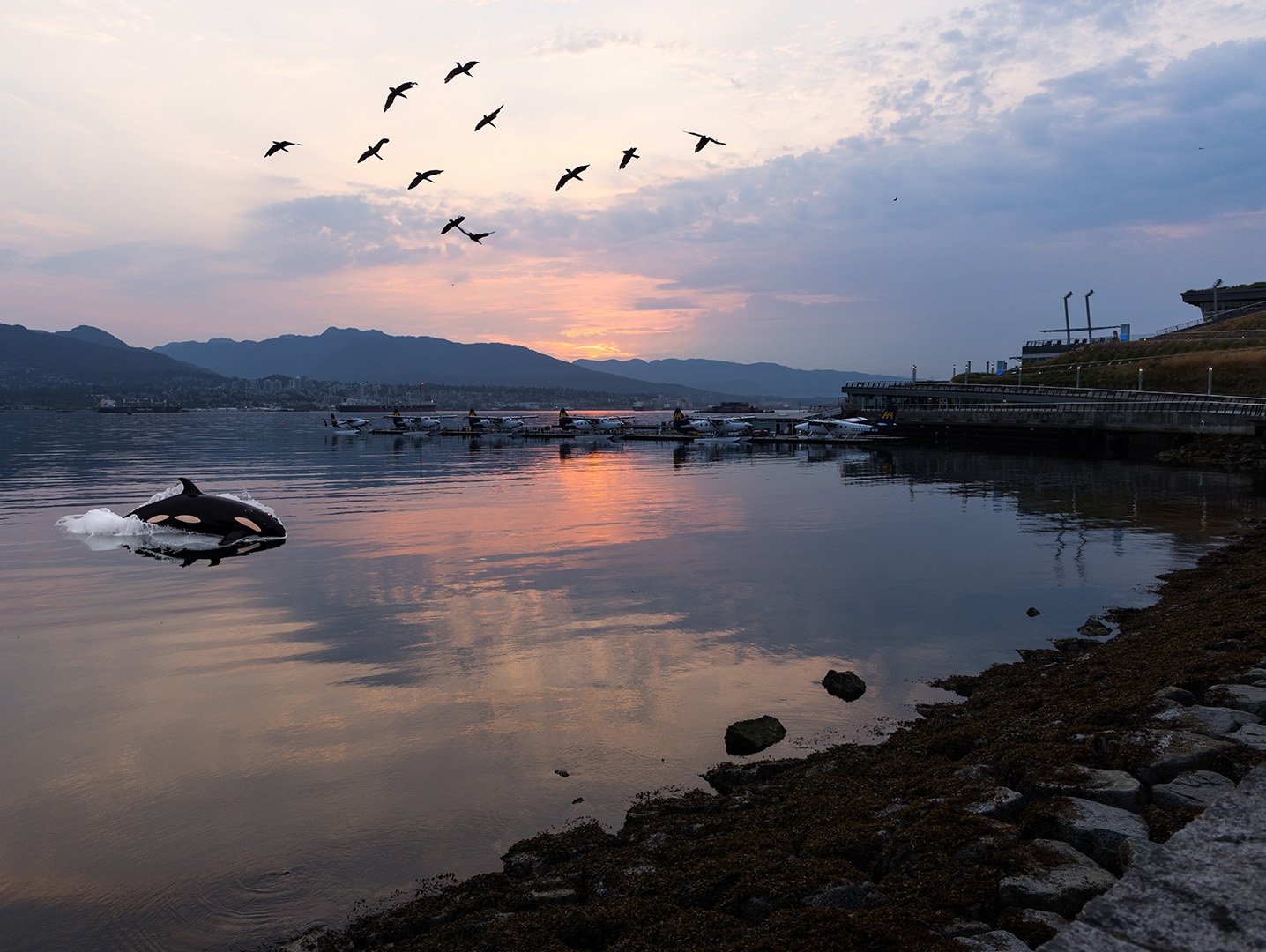 Image générée par IA à Vancouver