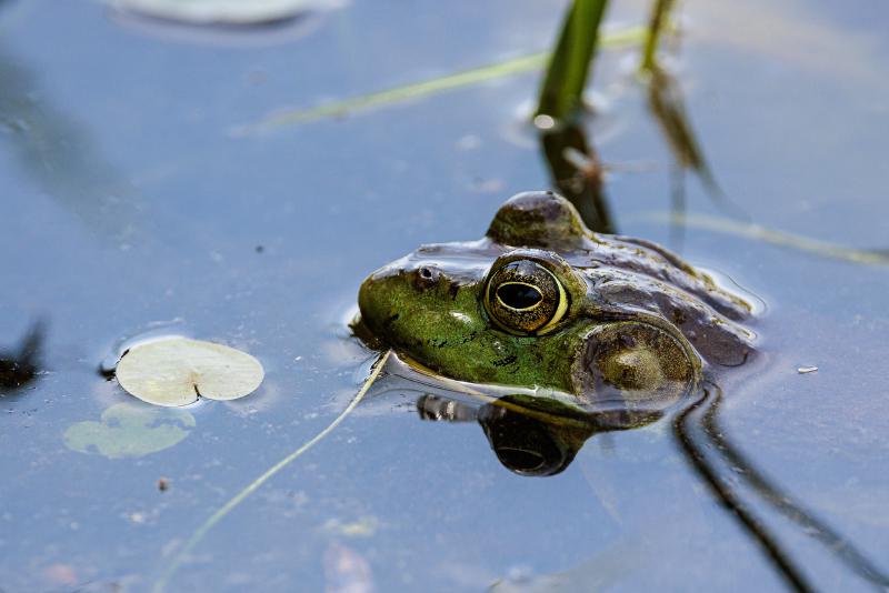 Lien vers Parc national de Plaisance