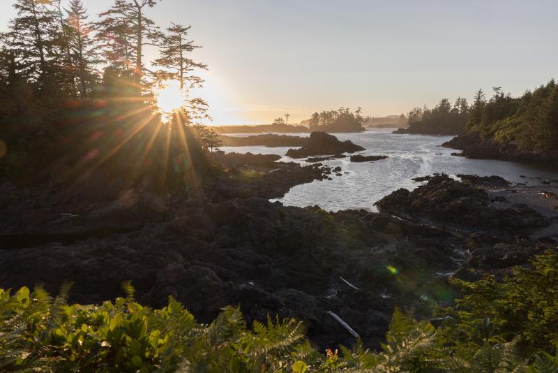 Lien vers Ucluelet 2021